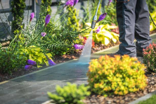 Best Sign and Awning Cleaning  in Black Point Green Point, CA