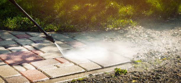 Best Gutter Cleaning  in Black Point Green Point, CA